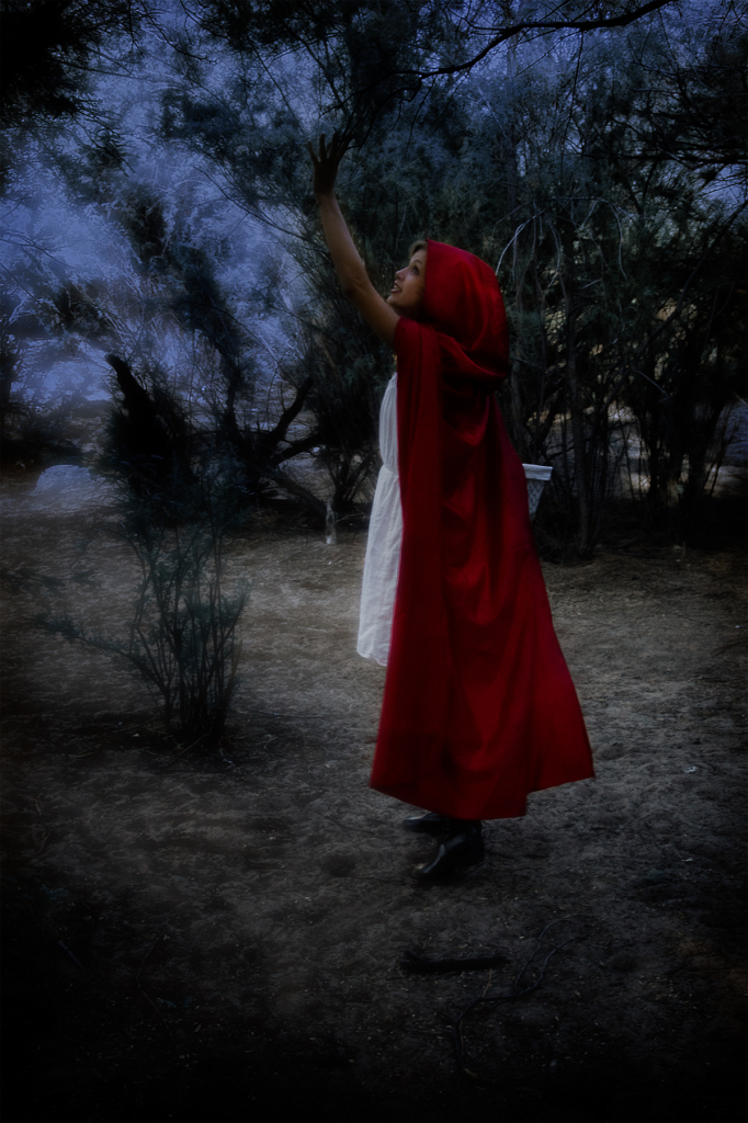 redridinghood1